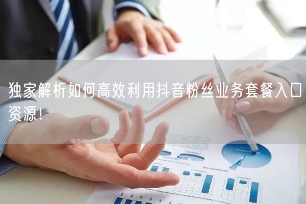 独家解析如何高效利用抖音粉丝业务套餐入口资源！
