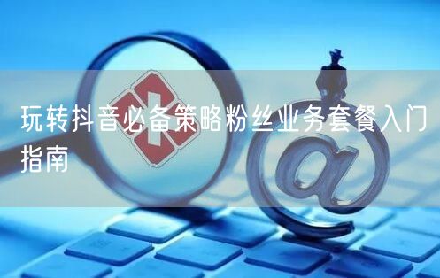 玩转抖音必备策略粉丝业务套餐入门指南